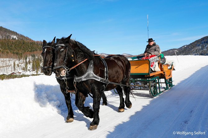 Christmas Horse-Drawn Sleigh/Carriage Ride from Salzburg - The sleigh ride, bells, blankets, and mountain air