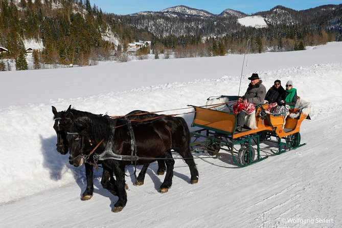 Christmas Horse-Drawn Sleigh/Carriage Ride from Salzburg - The guide can shape the whole day