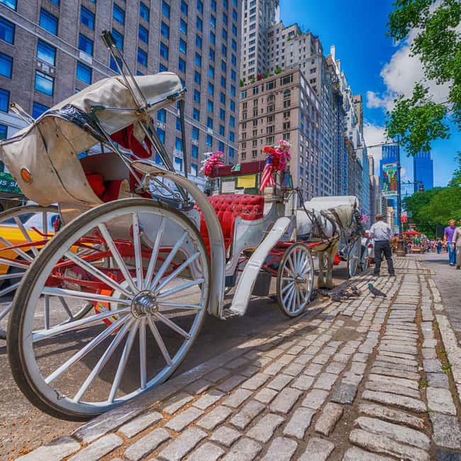 Christmas in Central Park: Horse Carriage Holiday Tour - The Mall and Central Park’s Grand Center