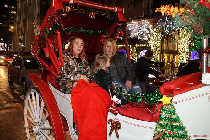 Christmas Light Private Carriage Ride New York City - Trump Tower and Saint Thomas Church