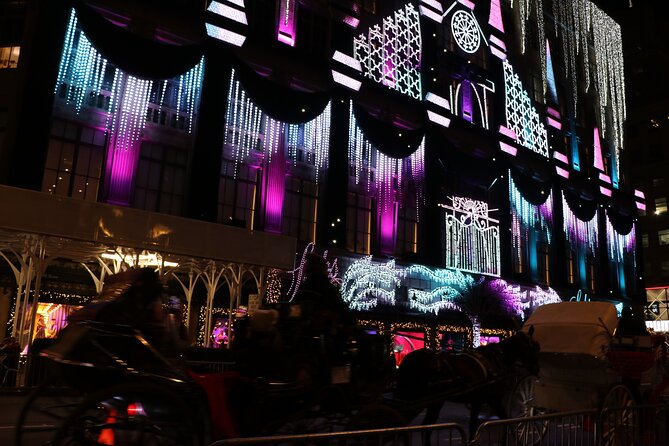 Christmas Light Private Carriage Ride New York City - What the guides add to the experience