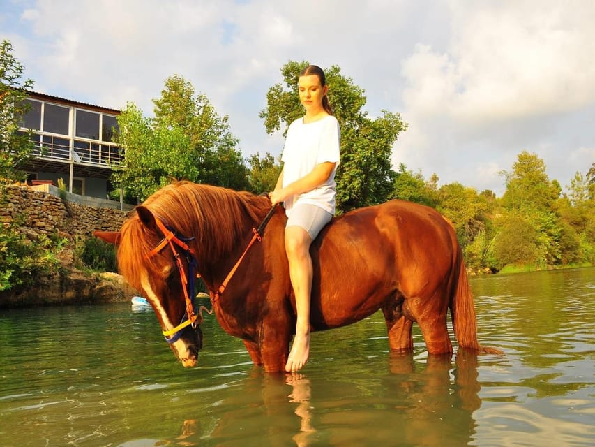City of Alanya: Horse Riding Experience - What beginners and experienced riders can expect
