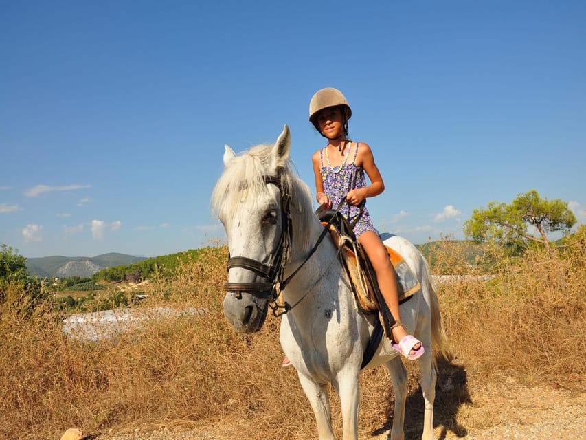 City of Alanya: Horse Riding Experience - The return transfer and the real time commitment