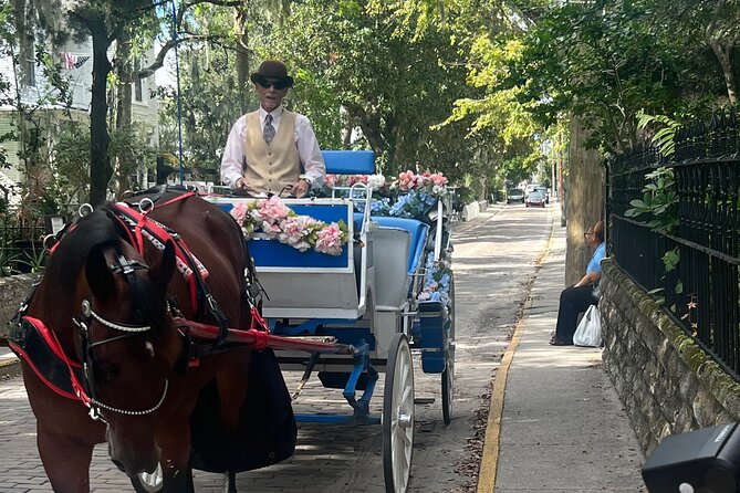 Classic Horse-Drawn Carriage Tour - Key points to know before you book