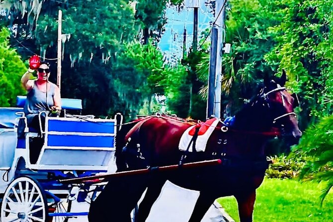 Classic Horse-Drawn Carriage Tour - What you actually see during the 40-minute route