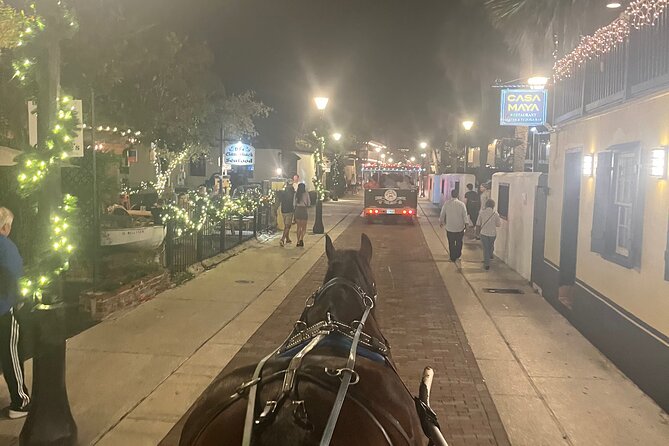 Classic Horse-Drawn Carriage Tour - Daytime heat, evening mood, and rain