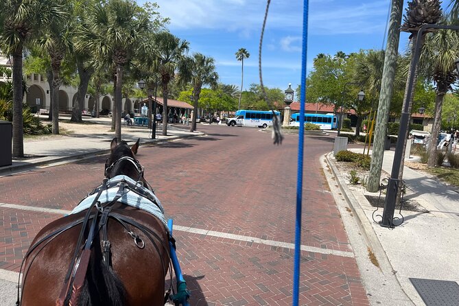 Classic Horse-Drawn Carriage Tour - Who will enjoy this carriage ride most
