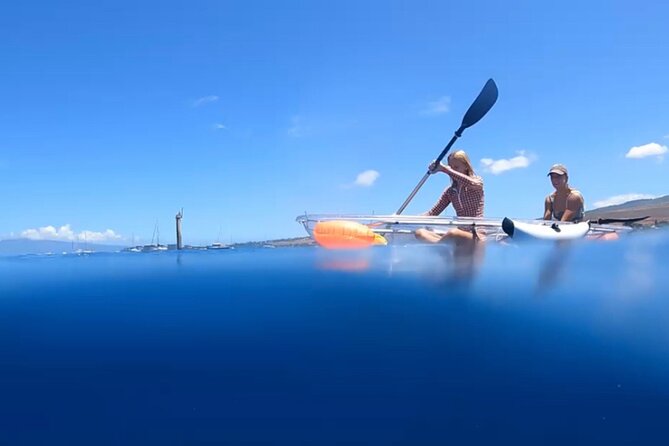Clear Bottom Glassy Kayak Rental | MAUI | Safe and Stable Kayaks - Why the clear bottom changes the Maui kayak experience