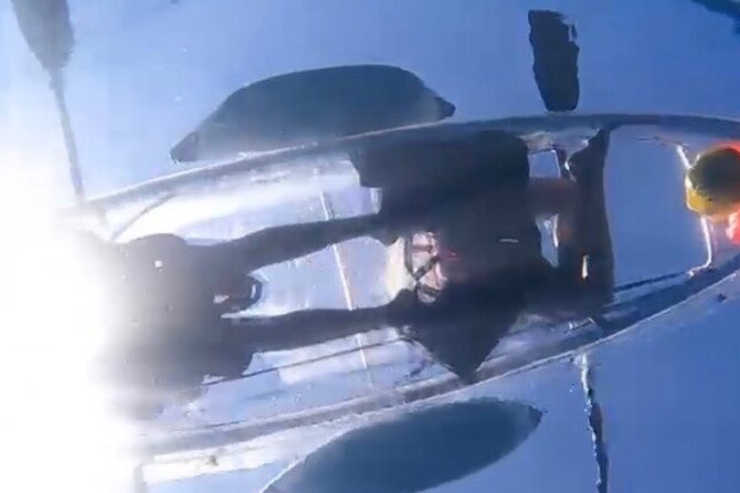 Clear Bottom Glassy Kayak Rental | MAUI | Safe and Stable Kayaks - Is the rental good value?