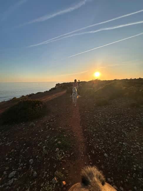 Cliffside Horseback Riding in the Algarve - What the small group changes