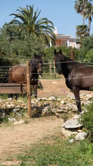 Cliffside Horseback Riding in the Algarve - What is included for $97