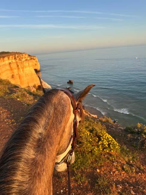 Cliffside Horseback Riding in the Algarve - Meeting your horse before the ride