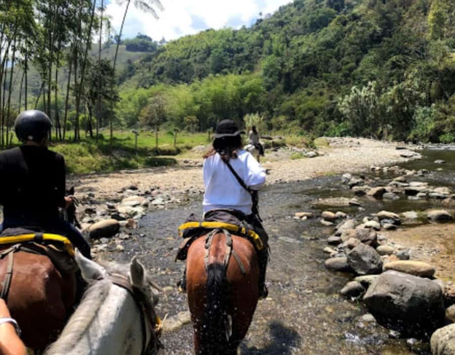 Cocora Valley: Salento & Private Horseback Riding Tour - Why this tour works well for seeing Cocora Valley