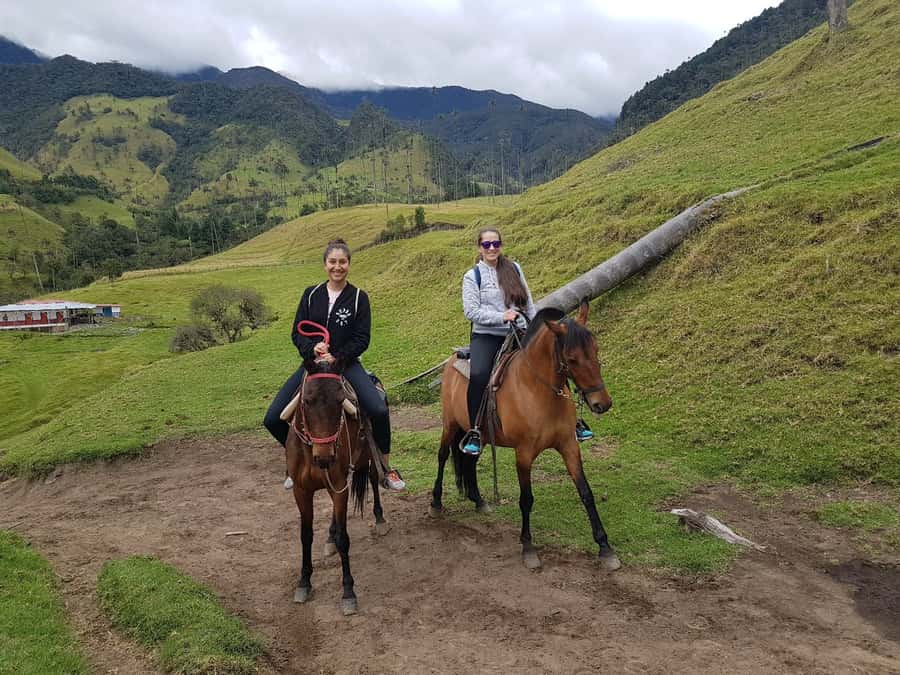 Cocora Valley: Salento & Private Horseback Riding Tour - Cocora Valley and its tall wax palms