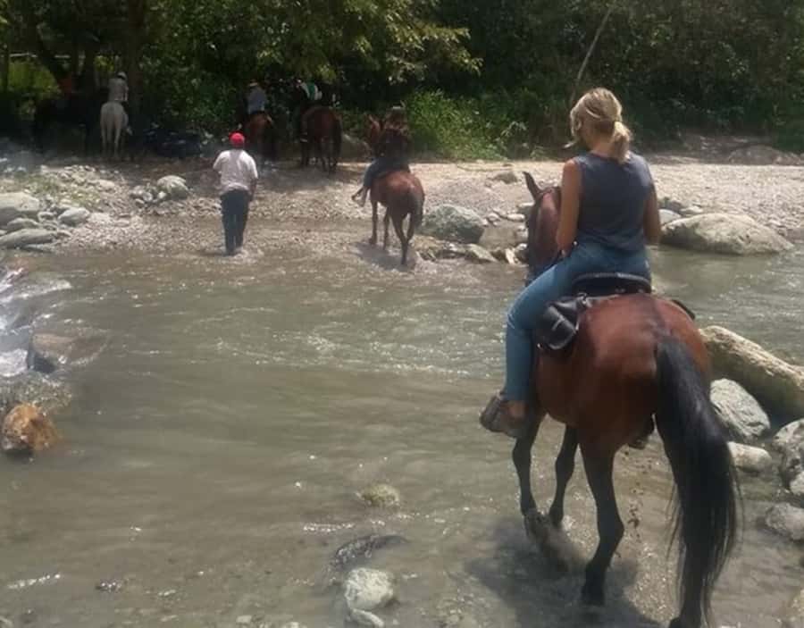 Cocora Valley: Salento & Private Horseback Riding Tour - Exploring Salento after the valley