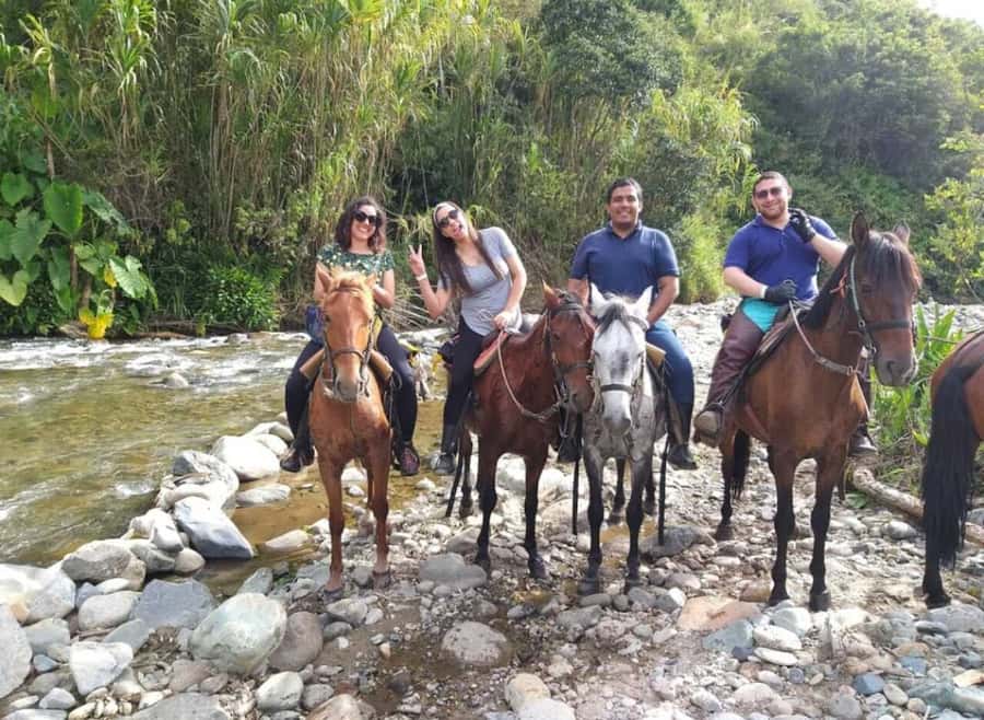 Cocora Valley: Salento & Private Horseback Riding Tour - My call on the tour