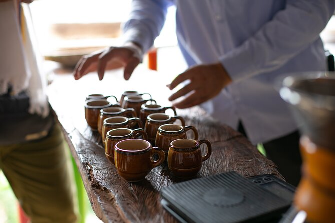 Coffee Tour with arrival on horseback and sugar cane processing - Learning coffee from berry to cup