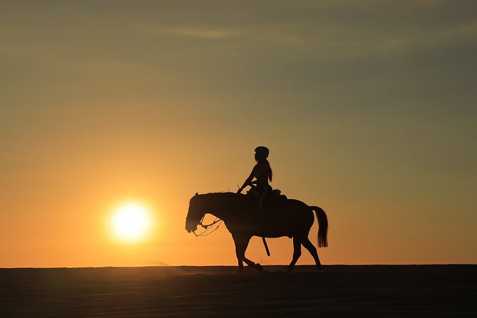 Combo 4X4 Automatic ATV & Horseback Riding in Cabo - The horseback ride along Playa Migrino