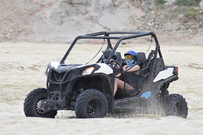 Combo Double Utv + Horses - Key points at a glance