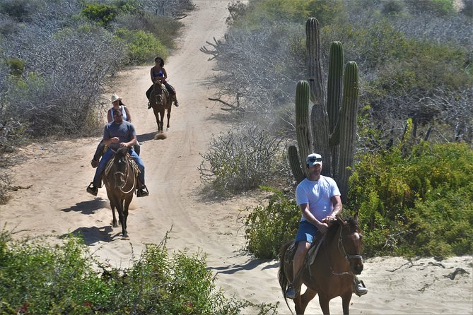 Combo Double Utv + Horses - Guides who shape the day