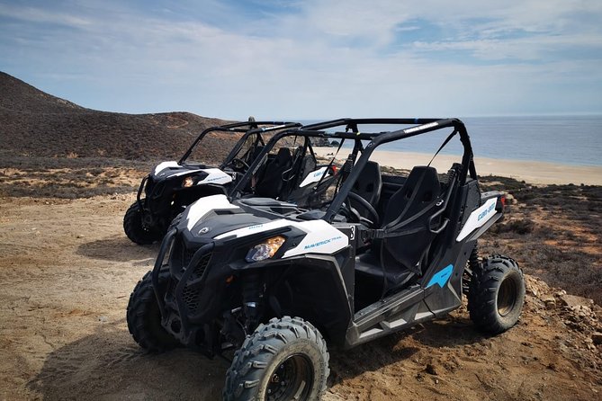 Combo Double Utv + Horses - Who will enjoy this combo most