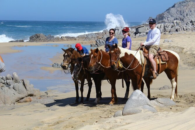 Combo Horseback Beach Ride & ATV Adventure. Tequila Tasting - Horses, equipment, and physical comfort