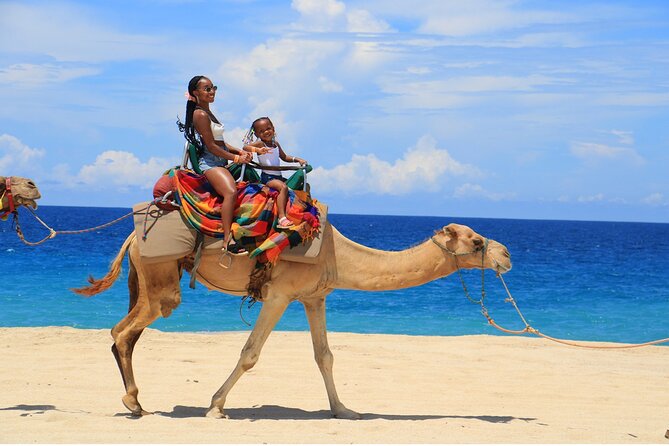Combo Horseback Ride and Sky Bike in Cabo - Tequila tasting and family services