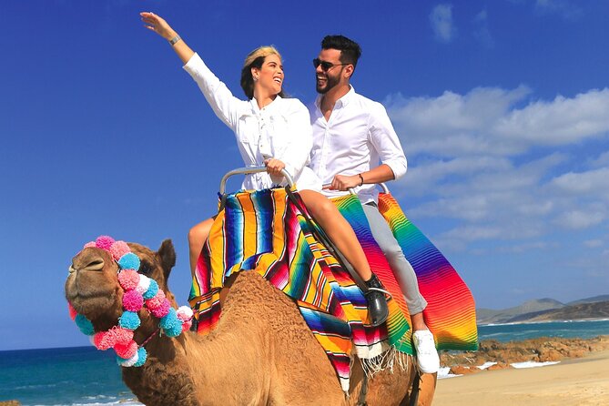 Combo Horseback Ride and Sky Bike in Cabo - What the $150 minimum really buys you