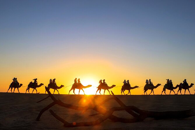 Combo Horseback Ride and Sky Bike in Cabo - Getting from your hotel to Cactus Park
