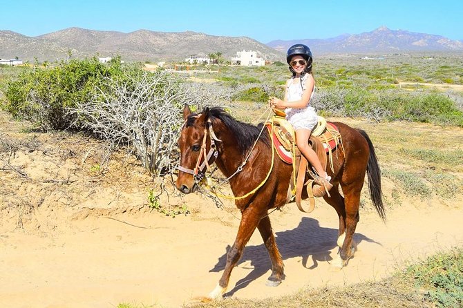 COMBO Horseback Riding & UTV Tour - The best parts of the experience