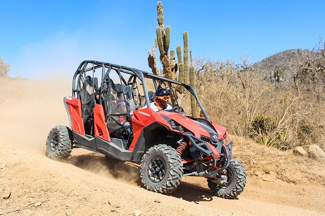 COMBO Horseback Riding & UTV Tour - The UTV hour: the louder half of the tour