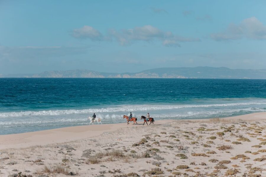 Comporta: Guided Horseback Riding Experience - Key Points to Know Before You Ride