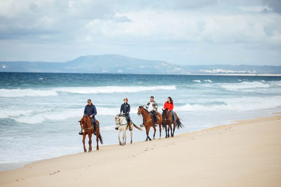 Comporta: Guided Horseback Riding Experience - From Cavalos na Areia Into the Rice Fields