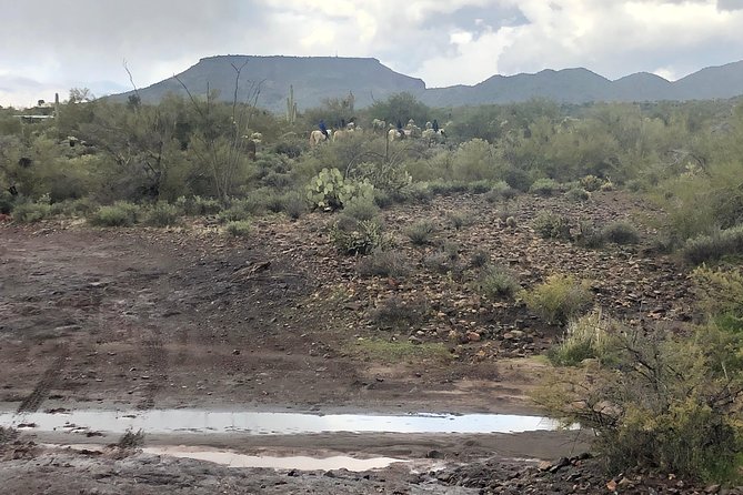 Contact us to book your time. Best Trail Rides in Arizona. - Photo stops and the best way to use your phone