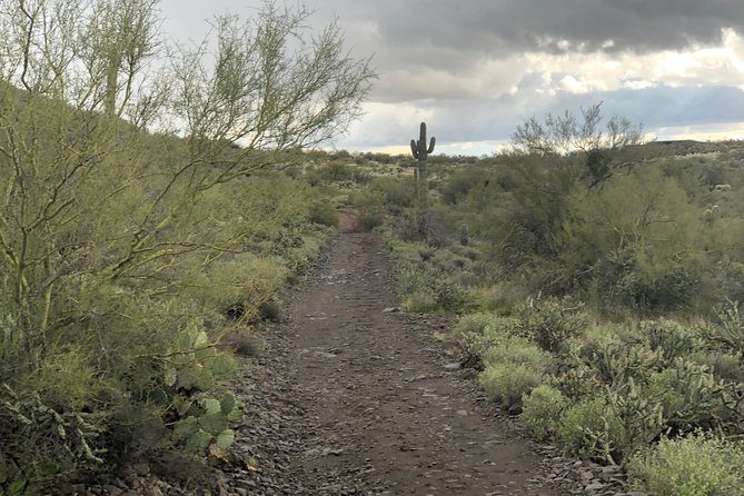 Contact us to book your time. Best Trail Rides in Arizona. - Gentle horses help first-time riders