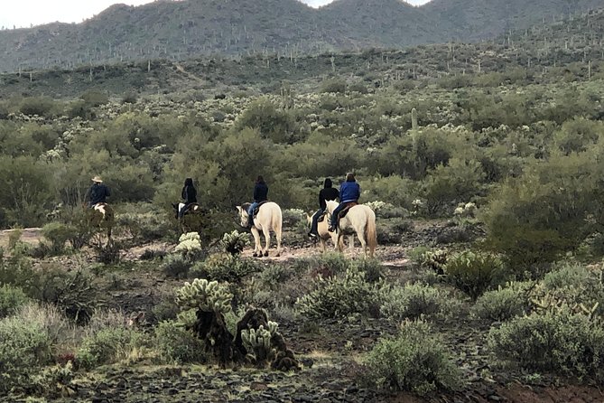 Contact us to book your time. Best Trail Rides in Arizona. - How much value you get for $125