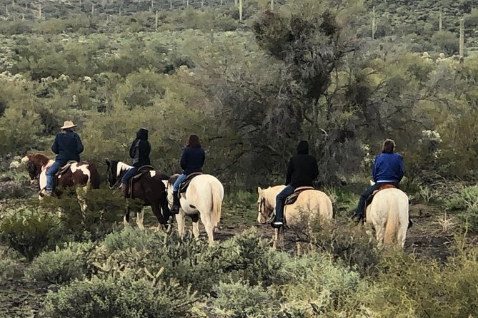 Contact us to book your time. Best Trail Rides in Arizona. - The trail: cactus, quail, and open Arizona views
