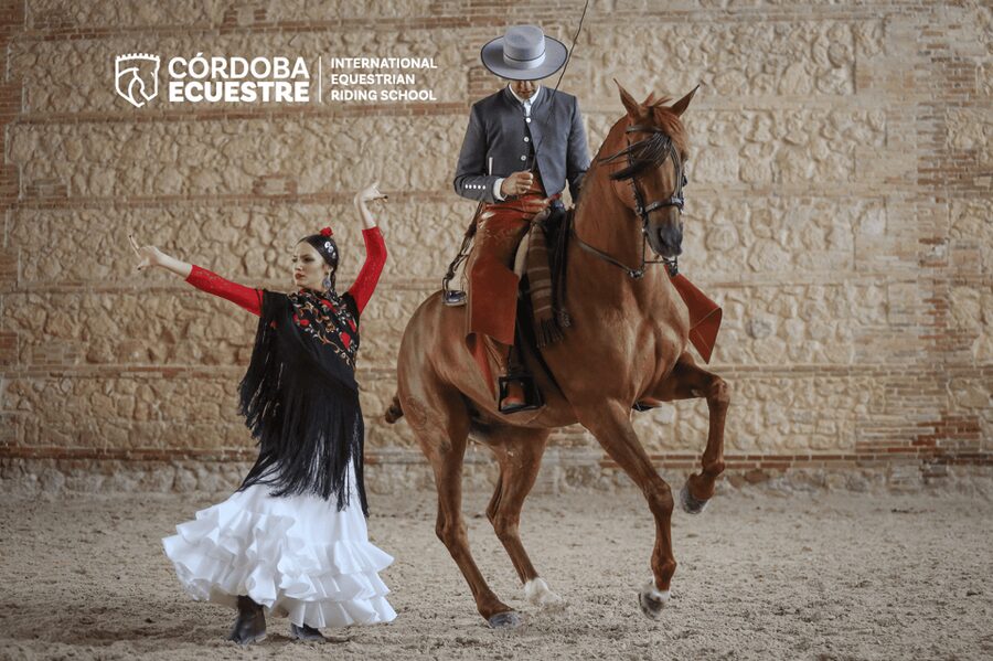Cordoba: Equestrian Show General Entry - Key things to know before you go