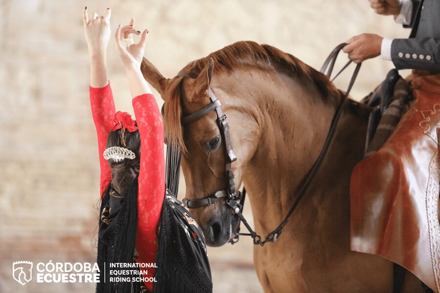 Cordoba: Equestrian Show General Entry - Entering Córdoba’s sixteenth-century Royal Stables