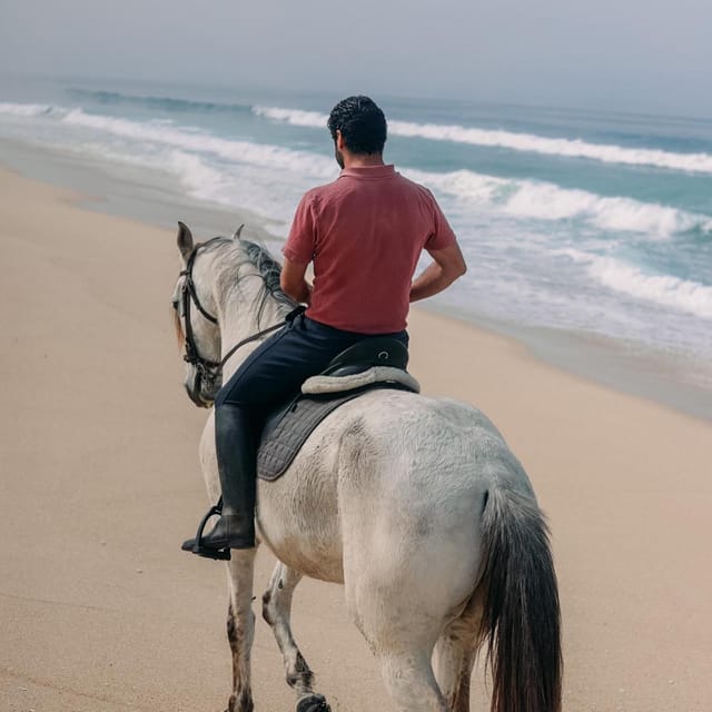 Costa Alentejana: Horse tour in Serra de Grândola - Another 35 minutes through the hills