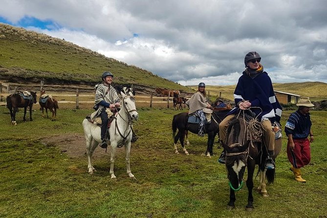 Cotopaxi Horseback Riding Tour from Quito – Andes Adventure - Three hours on horseback at a gentle pace