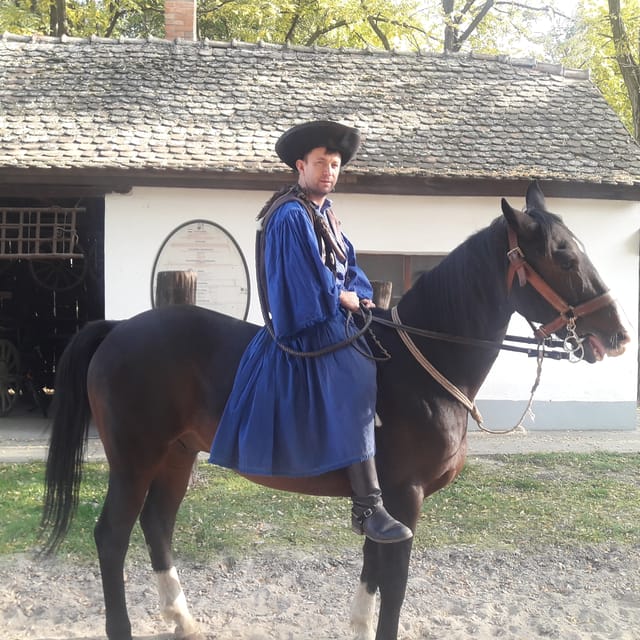 Countryside ranch, horse show & lunch - Goulash, strudel, palinka, and a taste of country life