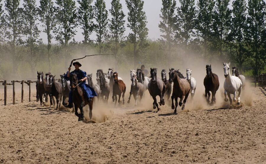 Countryside ranch, horse show & lunch - The small-group difference