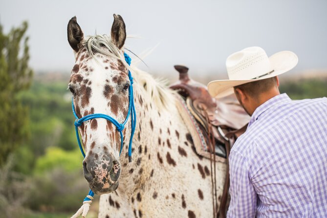 Cowpoke Ride: Adventurous horseback tour just 9 MILES from Sedona - How the horses and guides shape the experience