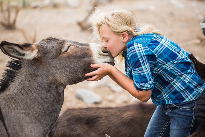 Cowpoke Ride: Adventurous horseback tour just 9 MILES from Sedona - Who should book this ride