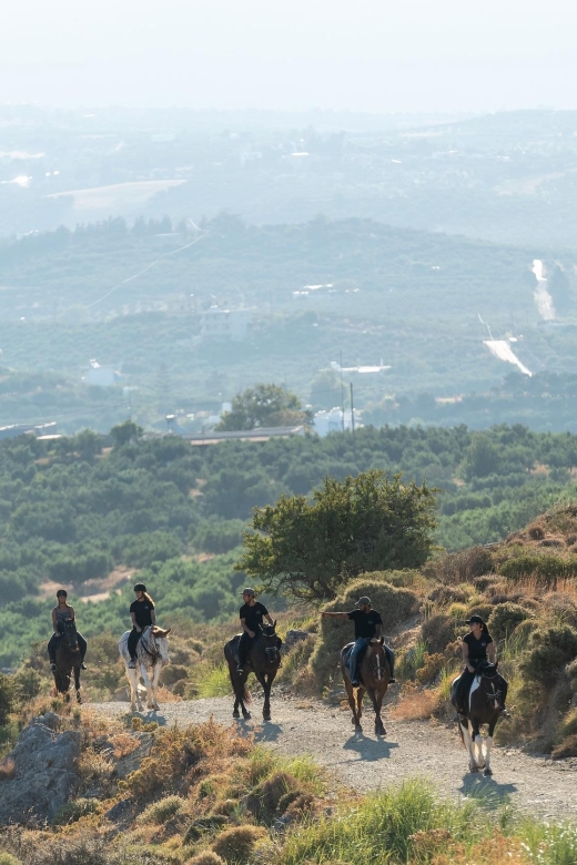Crete Horse Riding: Cretan Countryside Ride - Following the gentle paths into the olive groves