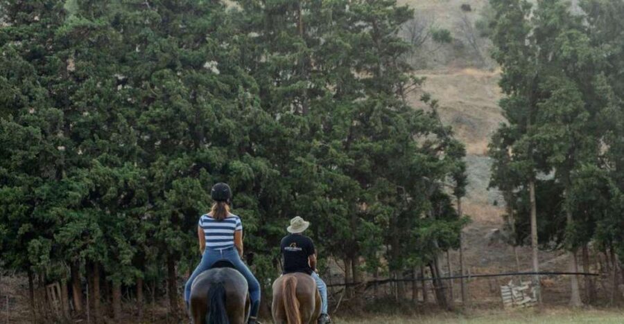 Crete Horse Riding: Cretan Countryside Ride - What one hour really means here