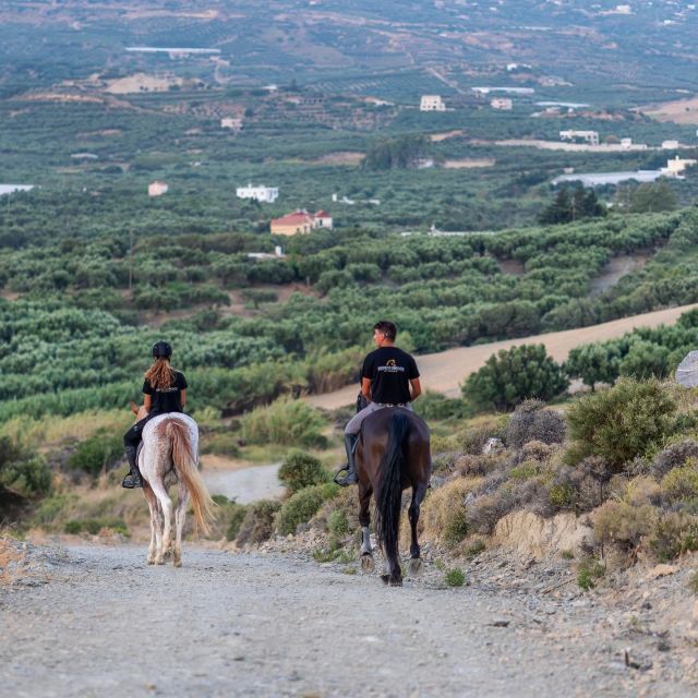 Crete Horse Riding: Cretan Countryside Ride - Practical preparation for a smoother ride