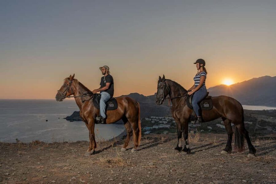Crete Horse Riding: East Coastline Ride - Key points to know before you book