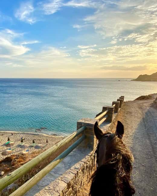 Crete Horse Riding: East Coastline Ride - Starting among Crete’s olive groves